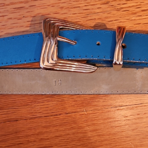 Teal Blue Leather Belt with Gold Buckle, Retro Vibes - Picture 1 of 8